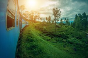 Train in Sri Lanka during sunset