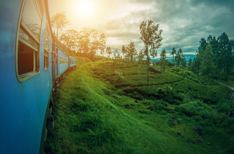 Train in Sri Lanka during sunset